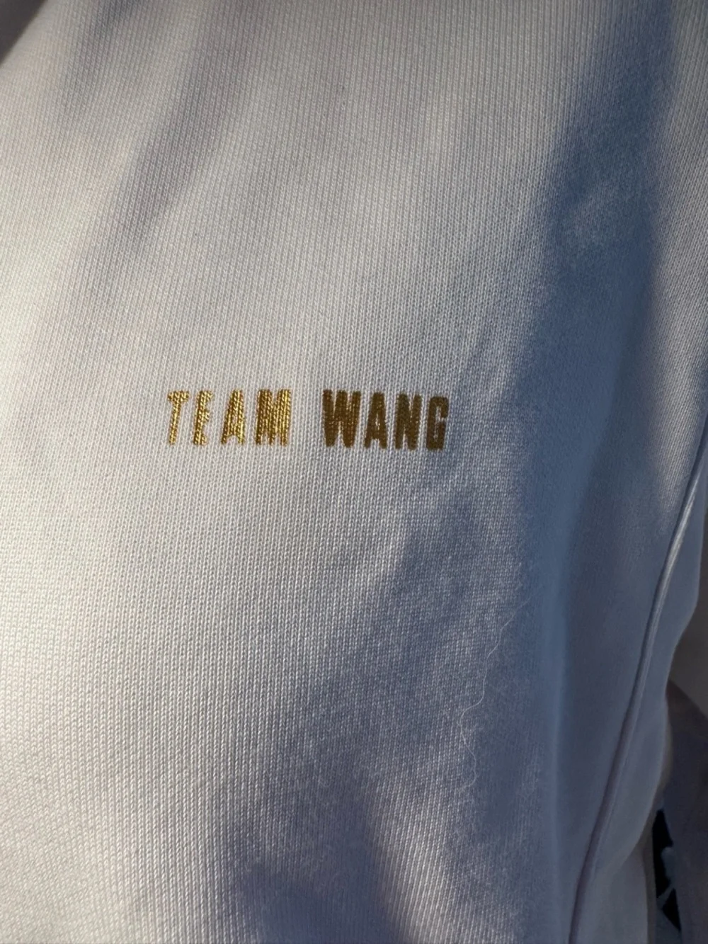 Team Wang zip-up jacket a size 1 ( med/lg) EUC